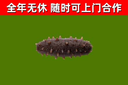 润州区烟酒回收干海参.jpg